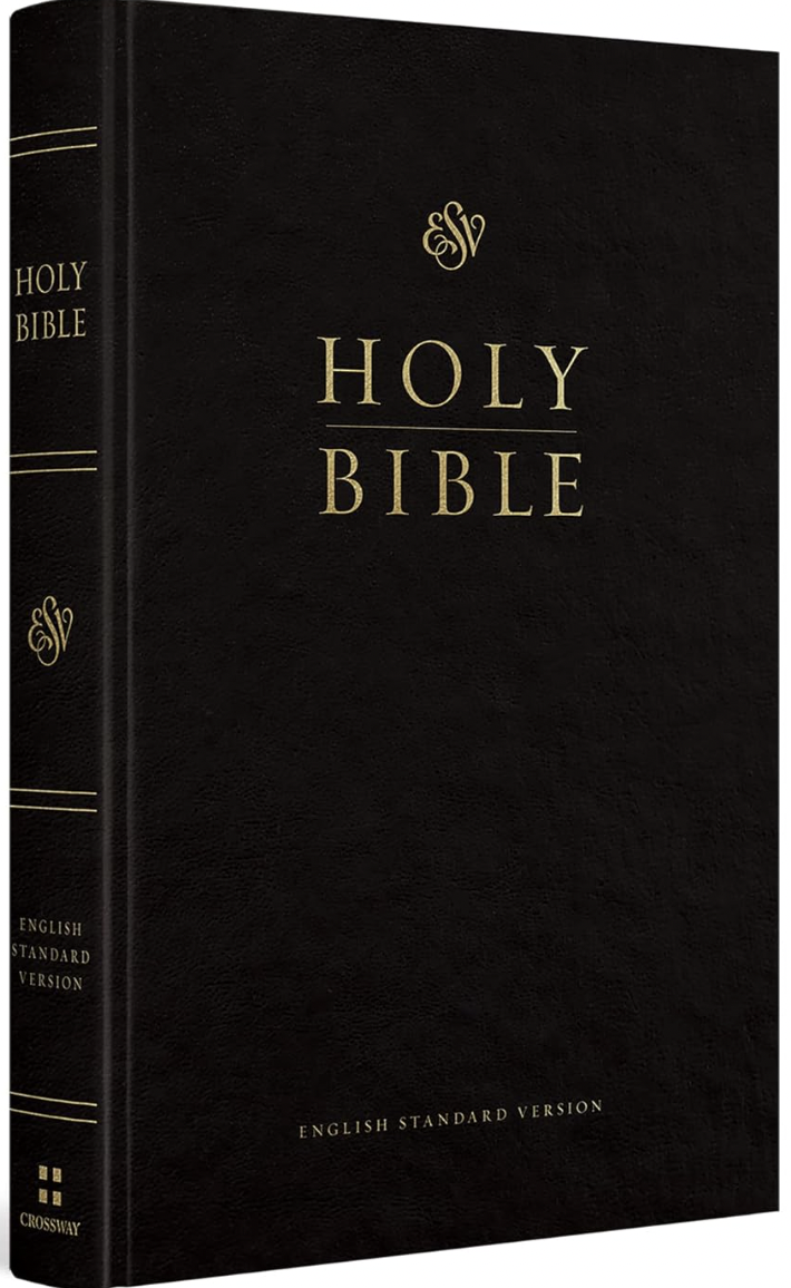 Holy Bible cover